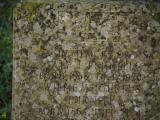 image of grave number 816521